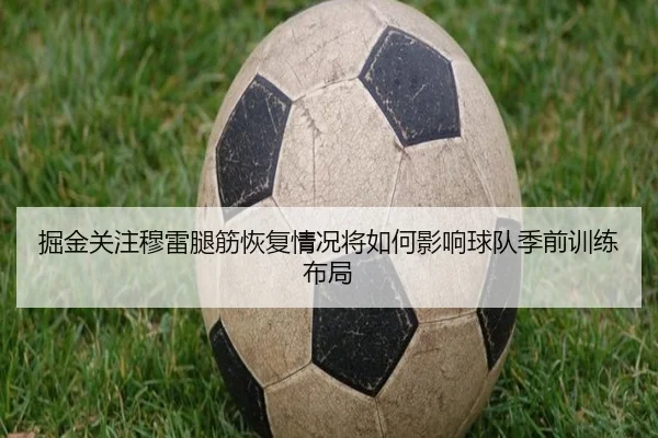 掘金关注穆雷腿筋恢复情况将如何影响球队季前训练布局